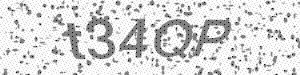 CaptchaCode